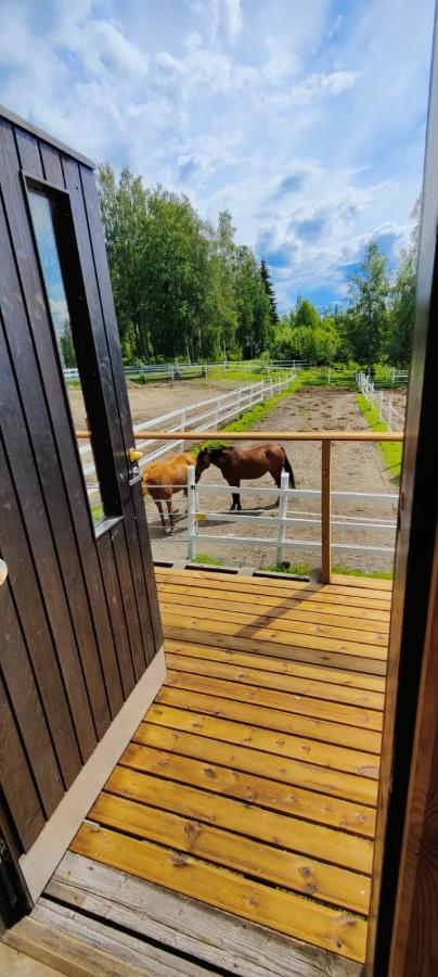 Bb Polle - With The Horse View Apartment Микели Екстериор снимка